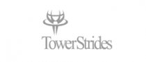 IT Consulting - TowerStrides